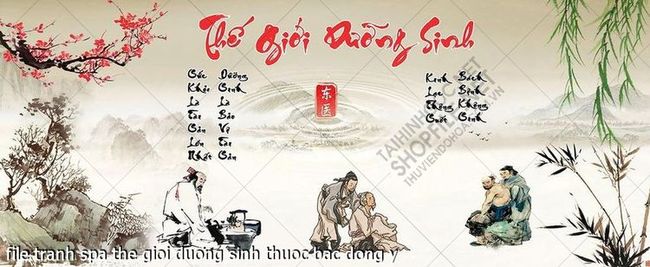 file tranh spa the gioi duong sinh thuoc bac dong y